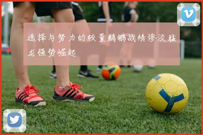 选择与努力的较量鹈鹕战绩惨淡猛龙强势崛起