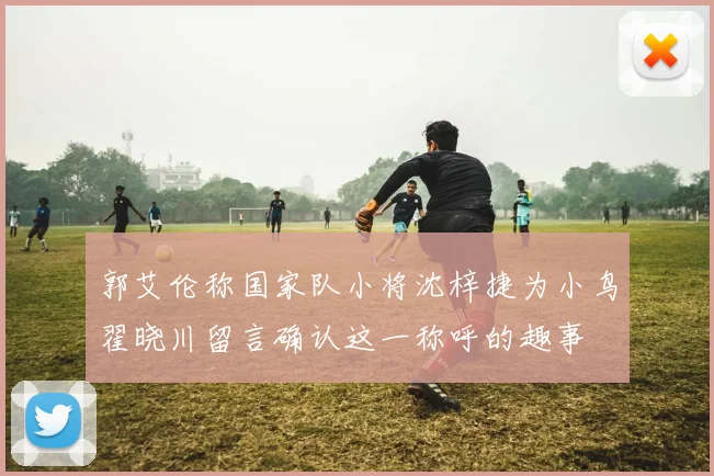 郭艾伦称国家队小将沈梓捷为小鸟翟晓川留言确认这一称呼的趣事