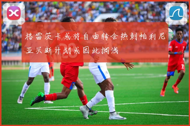 格雷茨卡或将自由转会热刺帕利尼亚买断计划或因此搁浅